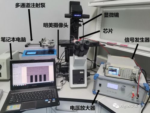 功率放大器在生物醫(yī)學(xué)領(lǐng)域測試研究中的應(yīng)用與前景
